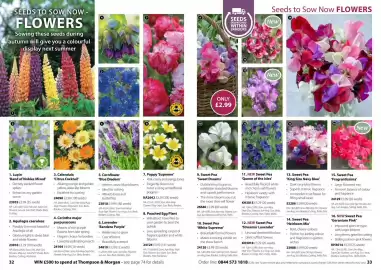 Thompson & Morgan catalogue Page 17