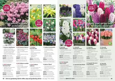 Thompson & Morgan catalogue Page 25