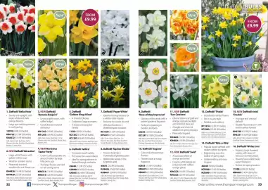 Thompson & Morgan catalogue Page 27