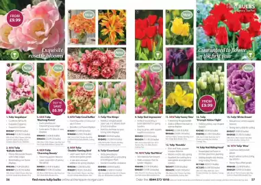 Thompson & Morgan catalogue Page 29