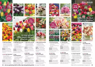 Thompson & Morgan catalogue Page 30