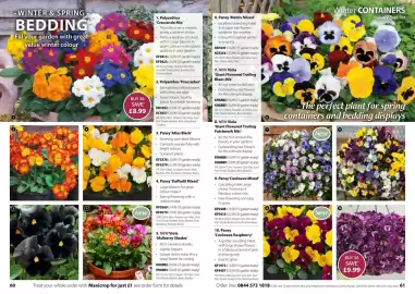 Thompson & Morgan catalogue Page 31