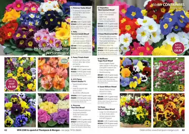 Thompson & Morgan catalogue Page 32