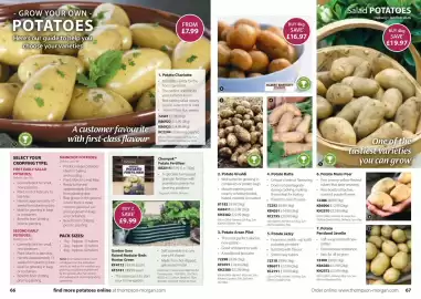 Thompson & Morgan catalogue Page 34