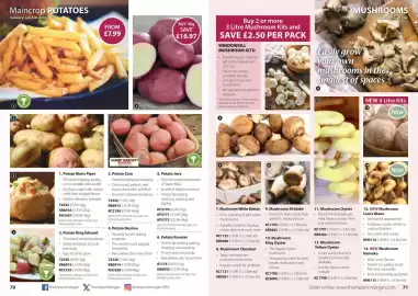 Thompson & Morgan catalogue Page 36