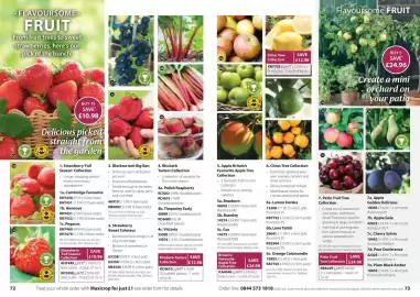 Thompson & Morgan catalogue Page 37