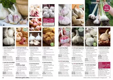 Thompson & Morgan catalogue Page 4