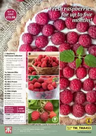 Thompson & Morgan catalogue Page 41