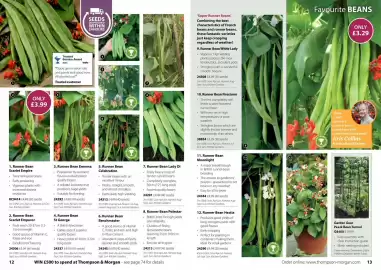 Thompson & Morgan catalogue Page 7