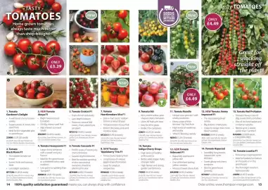 Thompson & Morgan catalogue Page 8