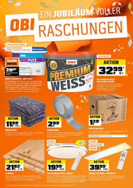OBI Flugblatt Seite 2