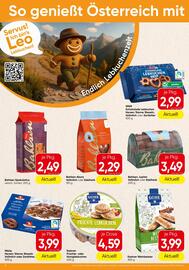 Spar Flugblatt woche 40 Seite 8