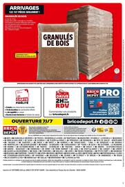 Catalogue Brico Dépôt page 12