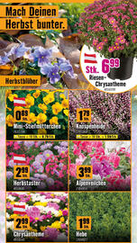 Hornbach Flugblatt Seite 2