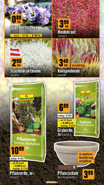 Hornbach Flugblatt Seite 3