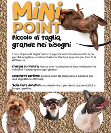 Volantino Arcaplanet Pagina 10