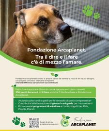 Volantino Arcaplanet Pagina 13