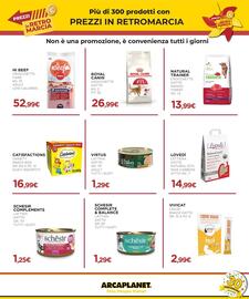 Volantino Arcaplanet Pagina 39