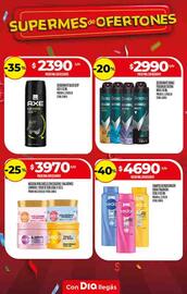 Folleto Supermercados DIA semana 40 Página 23