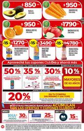 Folleto Supermercados DIA semana 40 Página 4
