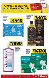Folleto Supermercados DIA semana 40 Página 60