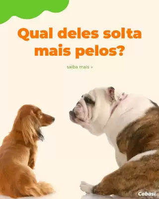 Catálogo Cobasi (válido até 31-10)