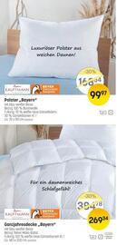 Reiter Flugblatt Seite 2