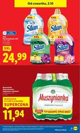 Lidl gazetka Strona 13