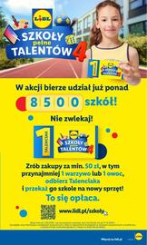 Lidl gazetka Strona 17