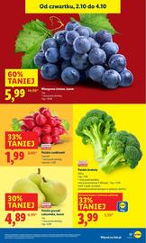 Lidl gazetka Strona 21
