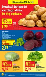 Lidl gazetka Strona 22