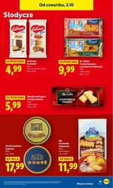 Lidl gazetka Strona 43