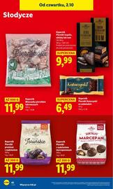 Lidl gazetka Strona 46