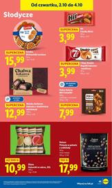 Lidl gazetka Strona 49