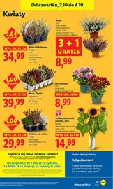 Lidl gazetka Strona 59