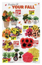 IGA flyer week 40 Page 12