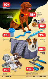 Netto gazetka tydzień 40 Strona 6