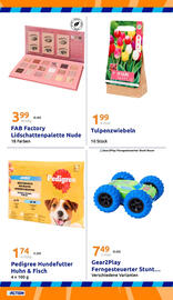 Action Flugblatt woche 40 Seite 29