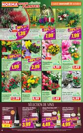 Catalogue Norma semaine 41 page 4