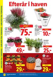 Lidl tilbudsavis uge 41 Side 28