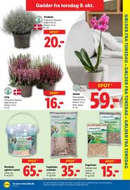 Lidl tilbudsavis uge 41 Side 29