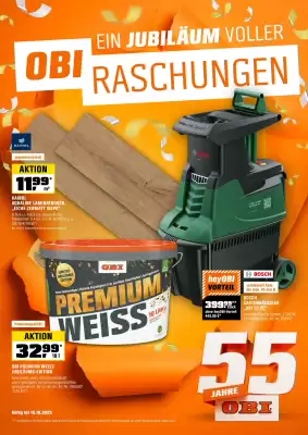 OBI Prospekt (gültig bis 15-10)