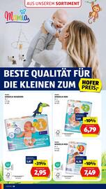 Hofer Flugblatt woche 40 Seite 20