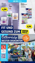 Hofer Flugblatt woche 40 Seite 38