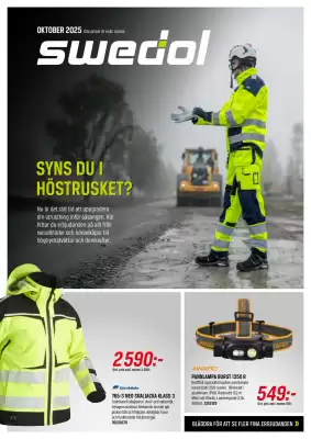 Swedol reklamblad (giltig till och med 31-10)