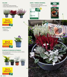 Horta folder Pagina 14