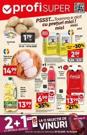 Catalog PROFI Pagină 1