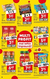 Catalog PROFI Pagină 10