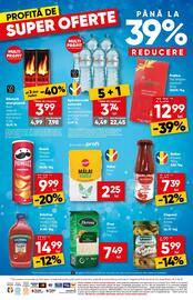 Catalog PROFI Pagină 16