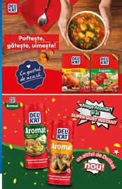 Catalog PROFI Pagină 17
